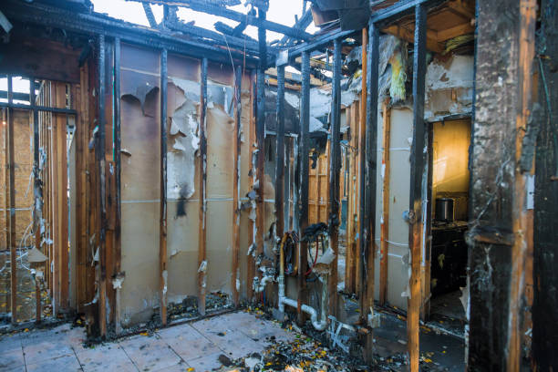 Professional Emergency Fire Cleanup technician working in Spring Park, MN